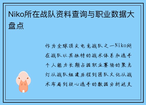 Niko所在战队资料查询与职业数据大盘点